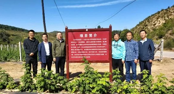 中国林科院ABT中心树莓项目助力乡村振兴加速