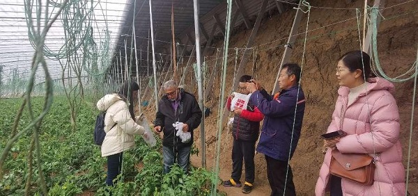 图片9.jpg