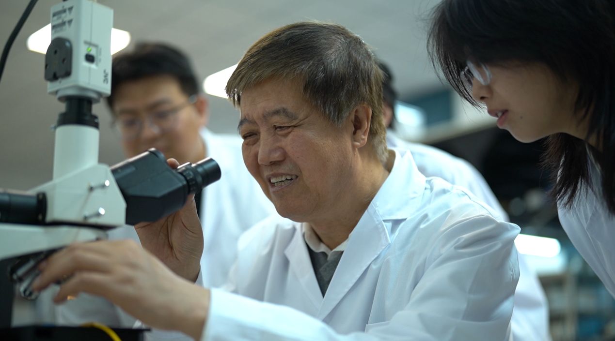 图片 5.jpg
