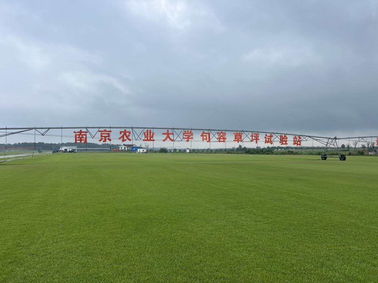 图片 3.png