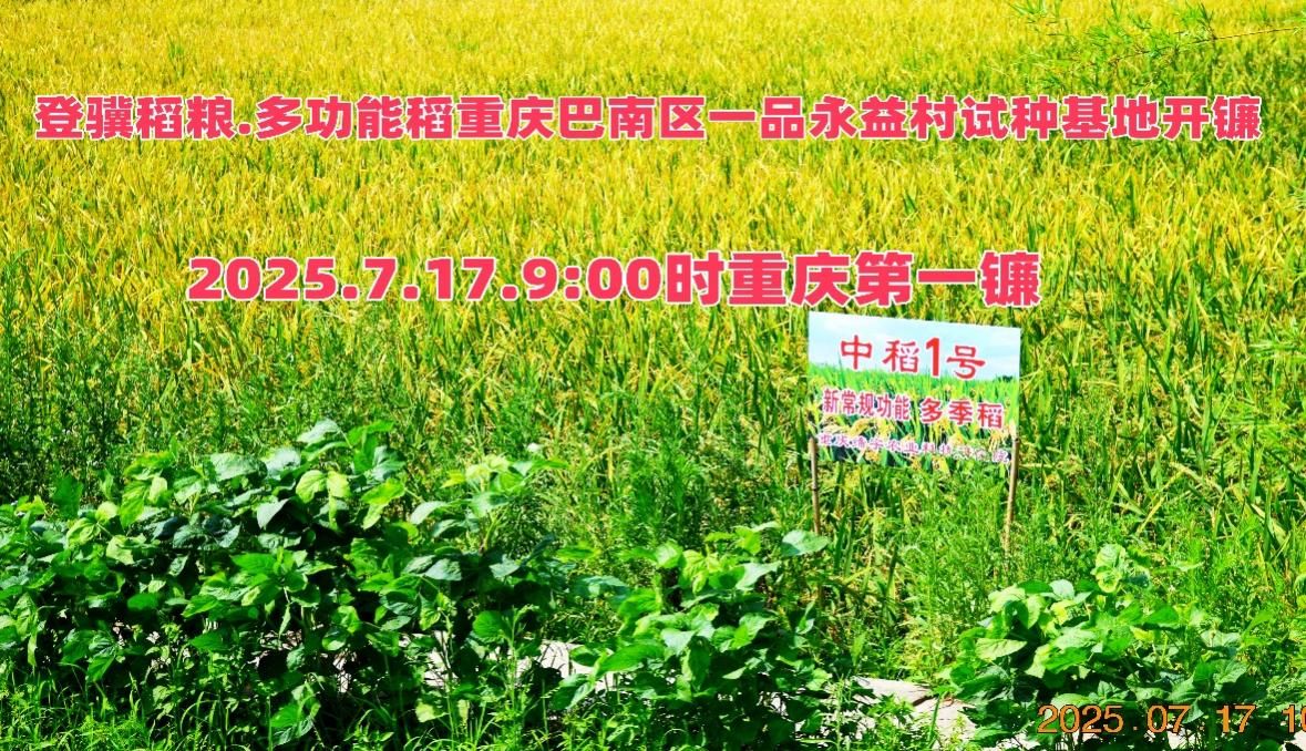 图片 1.jpg