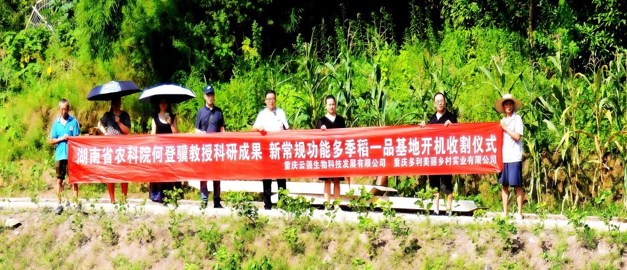 图片 4.jpg