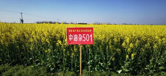 QQ截图20250821094053.jpg