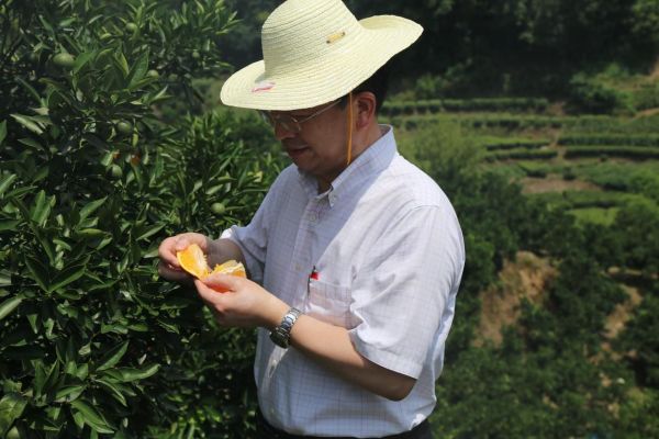 图片 9.jpg