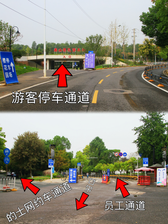图片 6.png
